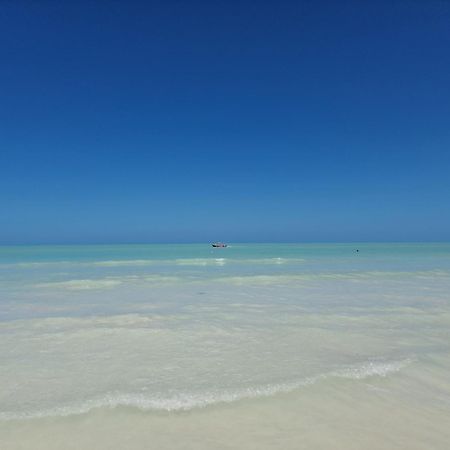 Luna Y Sol Glamping Holbox Exterior photo